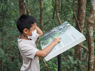 一名男孩站立 阅读旅游景点的书读图片