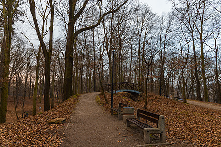 公园通往小型木桥的通道 周围有灯笼和长椅图片