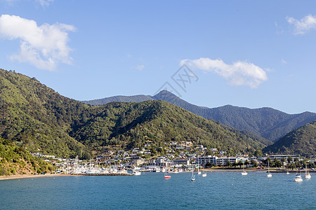 新西兰皮克顿的景象旅行海岸森林巡航海洋风景渡船游客港口地标图片