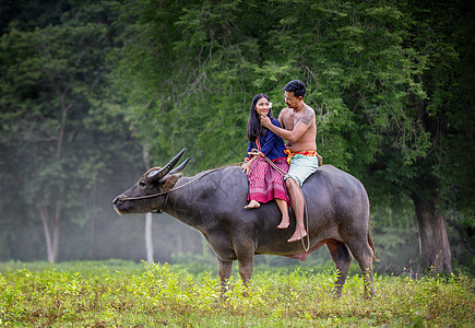 男人和妇女骑水牛到农村地区农业家畜野生动物草地场地哺乳动物女朋友农场动物摄影图片