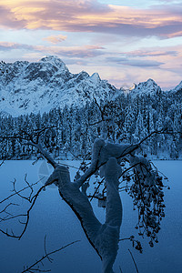 意大利福辛湖冬季盆地山脉熔丝月亮旅行远足森林高山小屋天空图片