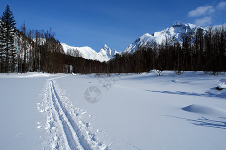 在树林里的滑雪道 在树林里滑雪太阳旅行森林晴天越野风景踪迹天空树木天气图片