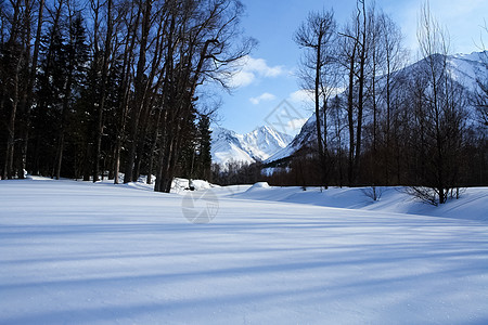 贝卡尔山上雪中塔伊加 冬季森林天空场景乡愁树木木头冰雪开放空间旅游桦木图片