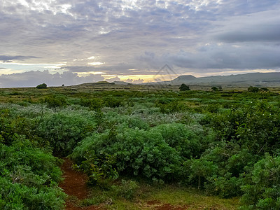 复活节岛 地貌 植被和海岸的自然性质旅游尖端海岸线旅行珊瑚丘陵建筑地标小城堡牧场图片