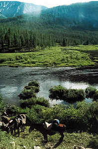 山河 石块和山河水 据说是山地生态环境岩石热带山脉溪流苔藓天空旅行石头图片