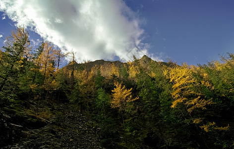 山岳上有许多高原 山岳的本性是言语中的 山上有植物山脉旅行高山爬坡耕地湖泊倒影荒野旅游农场图片