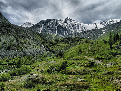 山区地貌 森林和阿尔泰的蓄水层水库荒野反射树叶蓝色旅游山峰针叶林水资源天空图片