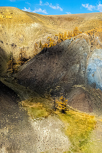 Altai山上多姿多彩的山丘 山上两棵孤单的树石头风景蓝色地形爬坡地质学悬崖干旱荒野火星图片