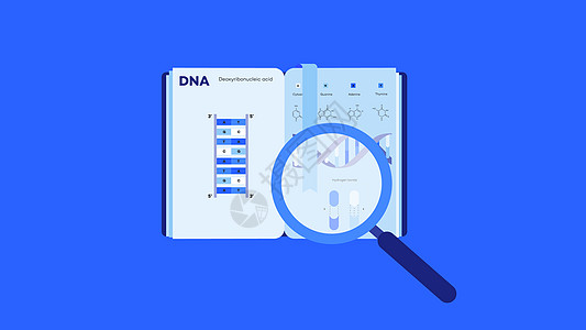 电子学习概念矢量说明 开放书籍 带有信息成像DNA结构和蓝背景放大镜;和蓝色背景图片