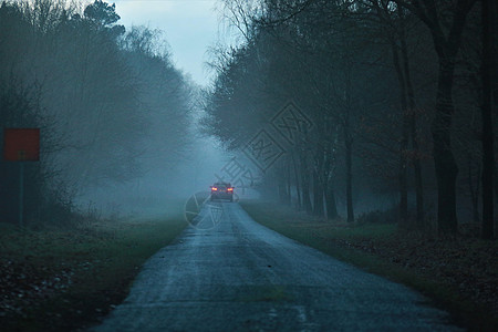 傍晚在雾中下雨之后的灰尘路背光树木森林农村灰色黑色街道绿色天空季节图片