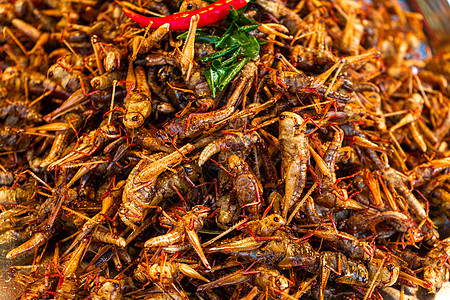 亚洲粮食市场 用炒虫子的柜台毛虫异国蟋蟀油炸营养热带小吃考山漏洞旅行图片