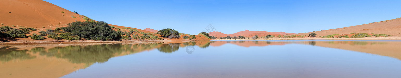 纳米比亚Sossusvlei的全景 充满了水沙丘乡村农村风景晴天地区旅游阳光旅行图片