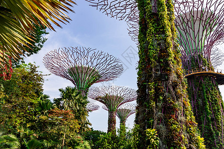 2018年10月12日 新加坡夏莫多湾天空旅行雕塑建筑学地标花园酒店景观化身场景图片