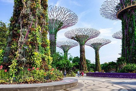 海湾花园2018年10月12日 新加坡夏莫多湾化身商业场景游客吸引力酒店雕塑建筑公园首都背景