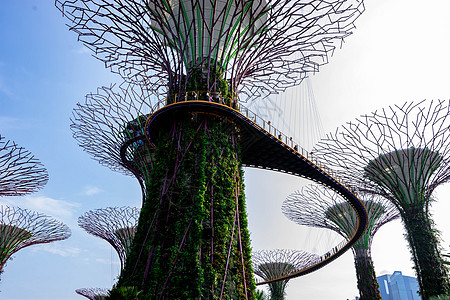 2018年10月12日 新加坡夏莫多湾旅游游客场景天空树林酒店森林建筑首都商业图片