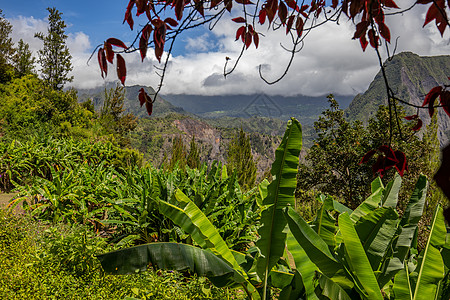 旅游的风景留尼汪岛景观的景象荒野巡航地质学生长天空全景绿色香蕉旅行旅游背景