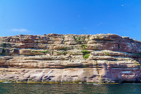 波拿芬奇岛的克利夫斯和鸟儿半岛海岸质量控制悬崖海洋海湾海景海岸线岩石游客图片