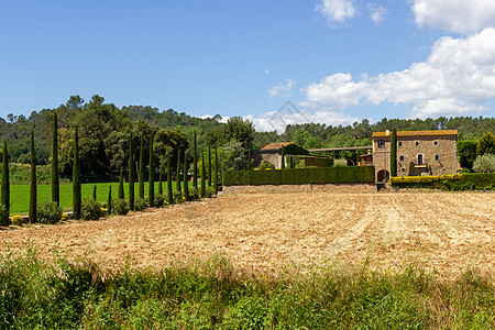 农村的农场地景观图片