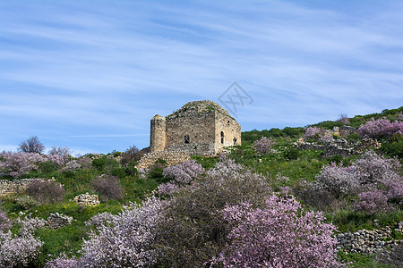 中世纪堡垒在阳光明媚的一天 希腊佩洛庞涅斯考古学教会城堡寺庙岩石古董天空紫色废墟植物图片