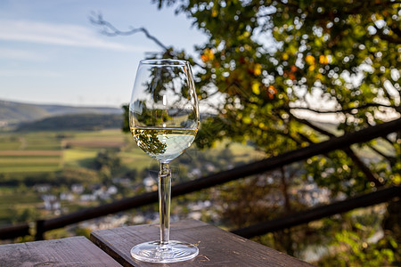 白葡萄酒和背景景观之花蓝色葡萄太阳地下室酒杯白酒酒窖天空水果村庄图片