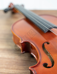 维罗林音乐家桌子协奏曲大提琴旋律小提琴音乐会玩家天赋交响乐图片