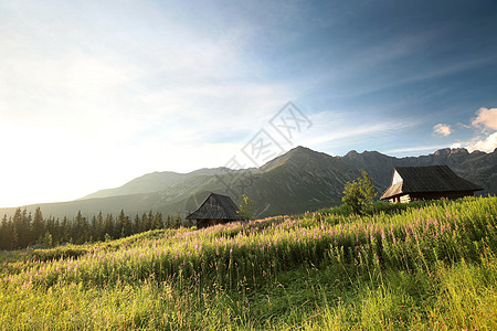 喀尔巴阡山谷草地农村旅游山脉环境旅行天空晴天首脑太阳图片