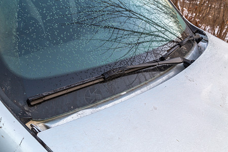 晨车挡风玻璃和水刀擦雨器上的轻霜薄片水器车辆背景低温橡皮安全水刀汽车清洁工运输图片
