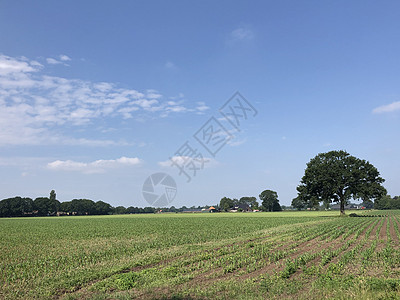 哈登堡周围的农田自然天空图片