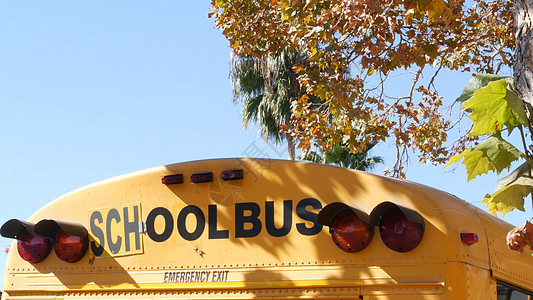 中新知识城美国加利福尼亚州洛杉矶的黄色标志性校车 学生后视的经典卡车 儿童交通安全的车辆红绿灯 郊区儿童公共客运服务学习注意力邻里孩子们知背景