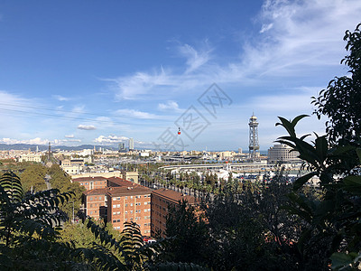 空中缆车港湾航空轨迹植物风景森林公园树木缆车旅行全景电车天空背景