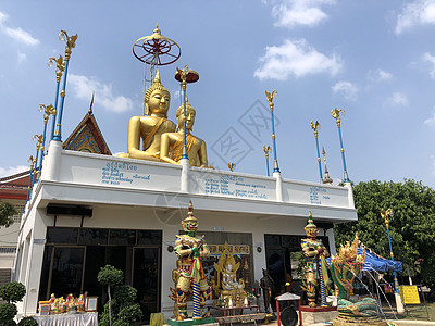 在寺的金芽背景图片