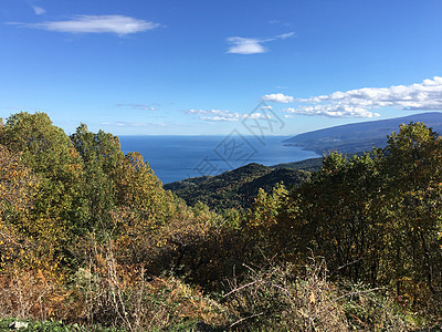 秋季风景森林海岸线爬坡海洋图片