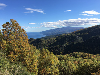 秋季风景海洋森林海岸线爬坡图片