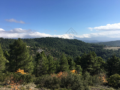 森林和山区地貌天空爬坡绿色图片