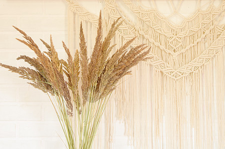 米色芦苇靠在白色墙壁上 带有花边墙板艺术针织传统植物风格乡村工艺桌子房子女性图片