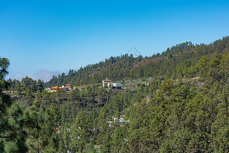 山区地貌 山坡绿树和孤单房屋的斜坡图片