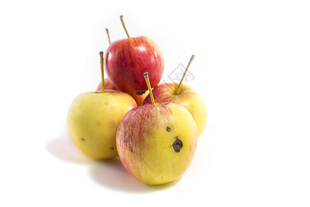 白色背景上孤立的新鲜红苹果和黄苹果小吃黄色水果绿色红色饮食食物图片