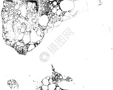 脏垃圾背景 5划痕苦恼墙纸裂缝飞溅白色风化腐蚀粉笔材料图片