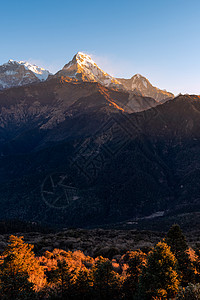 喜马拉雅山脉在尼泊尔Poon山景点的自然景观旅行假期日落鱼尾地标首脑爬坡辉光森林风景图片