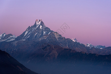 尼泊尔日落时 鱼尾峰或马恰普沙雷山图片