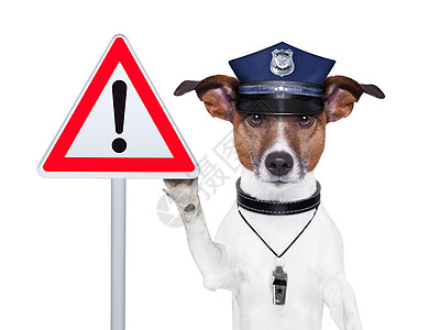 警犬侦探警告安全街道徽章法律逮捕权威控制交通图片