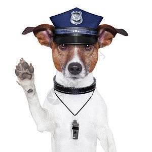 警犬控制警察徽章安全逮捕警告警卫危险犯罪情况图片