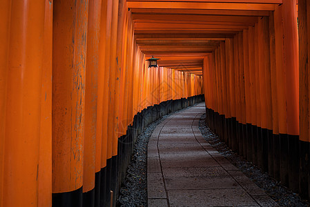 在日本京都旅游者吸引地标之一神庙的红色托里门路道遗产文化小路入口旅行游客竹子寺庙旅游人行道图片