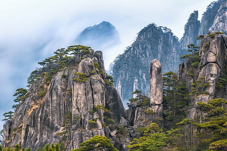 中国安徽黄山 更新黄山的露台世界森林公园风景松树地方国家岩石旅游景点图片