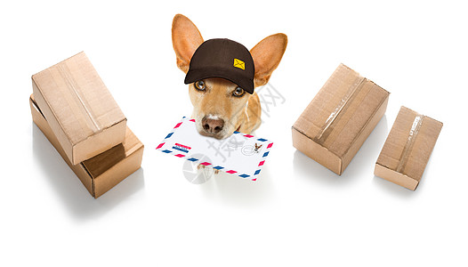 寄给邮差的警犬邮件空邮代码礼物信封邮递员运输宠物服务纸板电子邮件图片