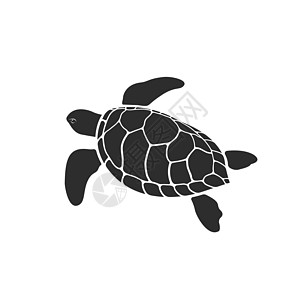 白色背景下龟设计的矢量 简单的可编辑分层矢量图 野生动物图片