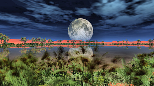 绿洲上的满月 3d 仁德衬套全景草地干旱场地反射日落月亮地平线沙丘图片