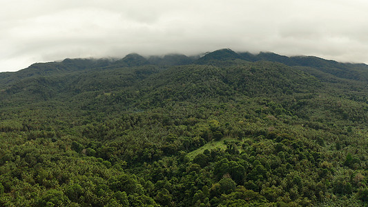 覆盖着雨林的山地 菲律宾 卡米甘热带木头叶子公园场景植被悬崖丛林环境旅行图片