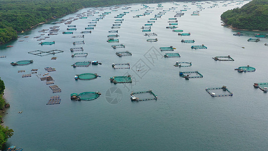 菲律宾吕宋岛的渔业 养鱼场 顶级视野图片