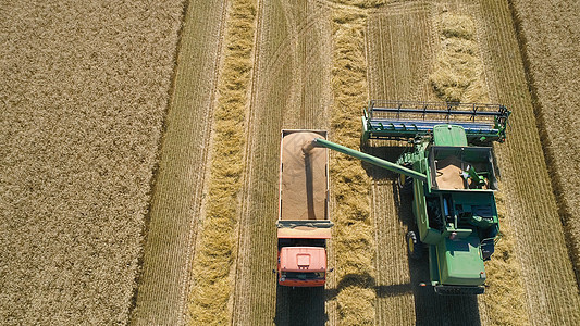 小麦田合并收割器农业收获种子粮食收成工作稻草场地鸟瞰图收割机图片